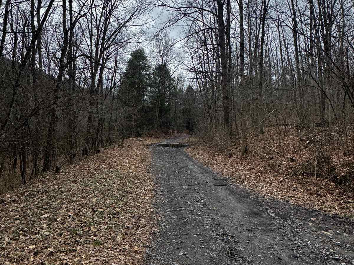 Hog Back Tunnel Trail photo 2