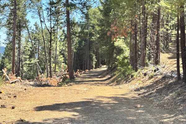 Upper Glen Spur - FS 96