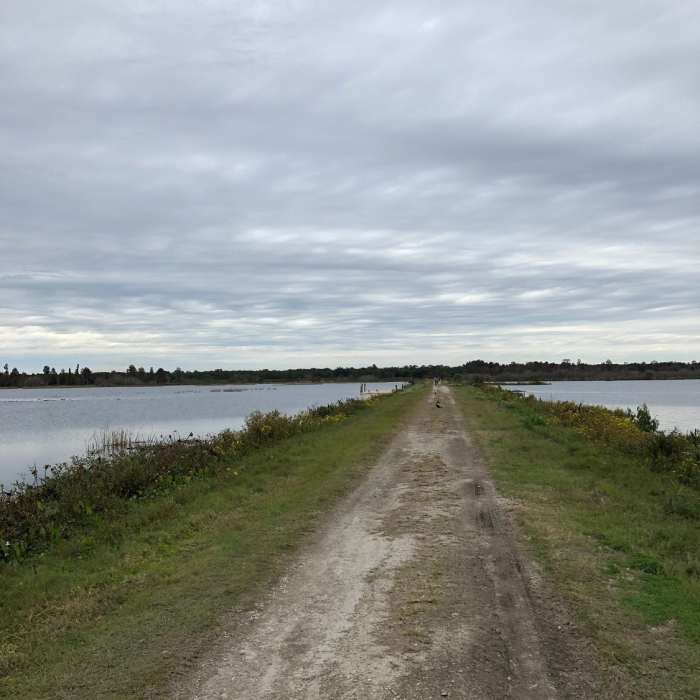 Near Eagle Roost