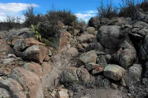 Coldwater Trail #21 (Singletrack)  