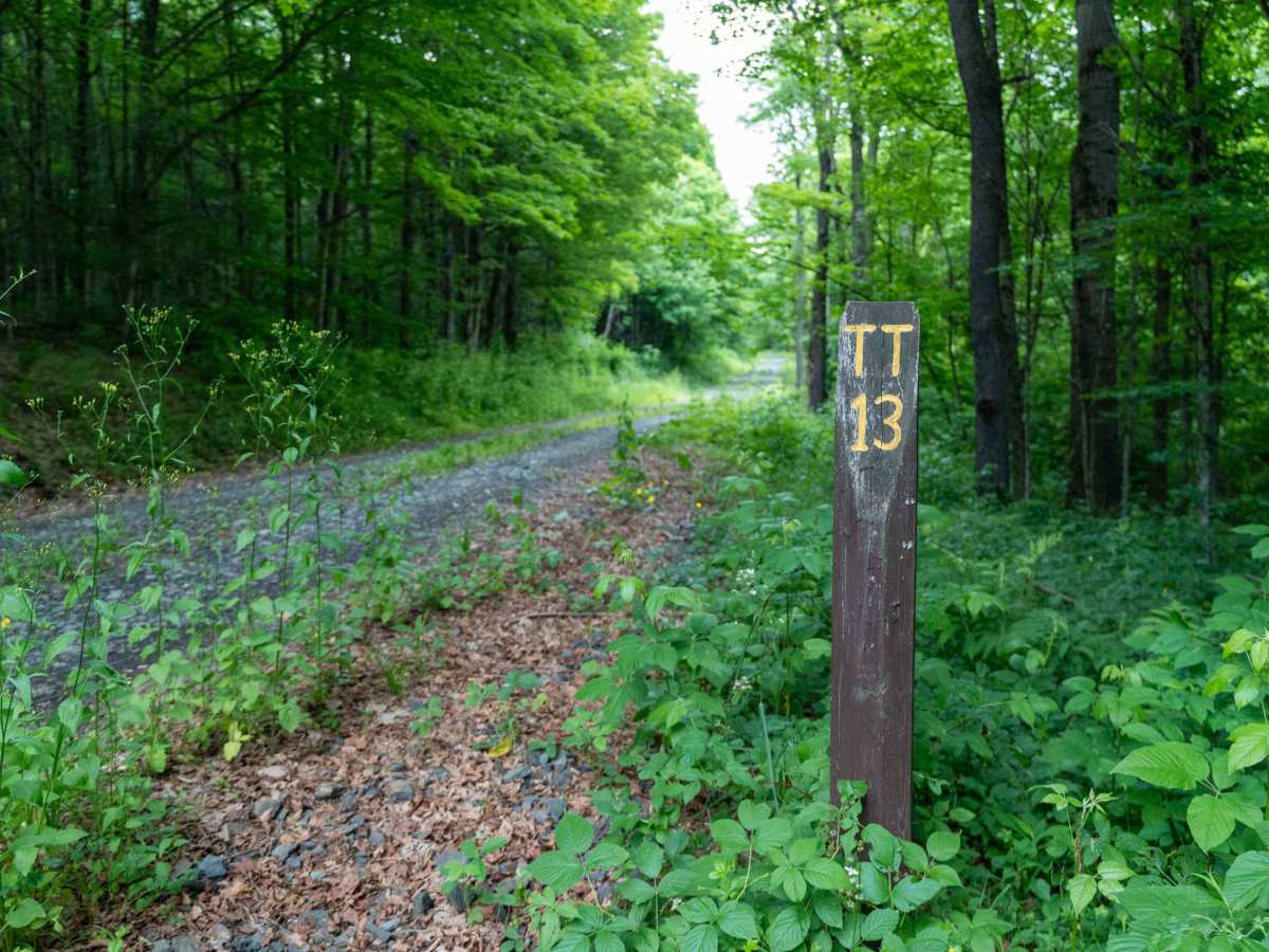 Truck Trail 13 photo 2