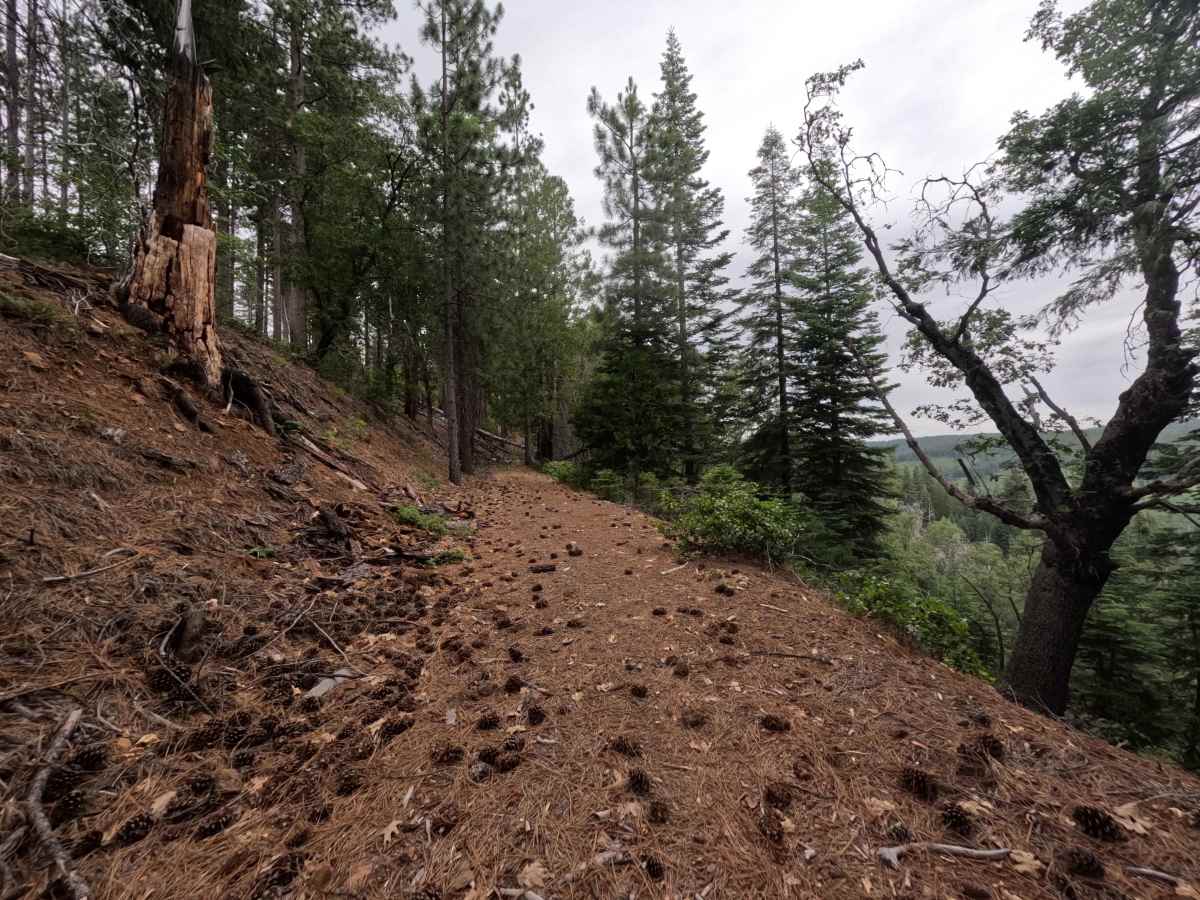 FS 2N20 trail photo
