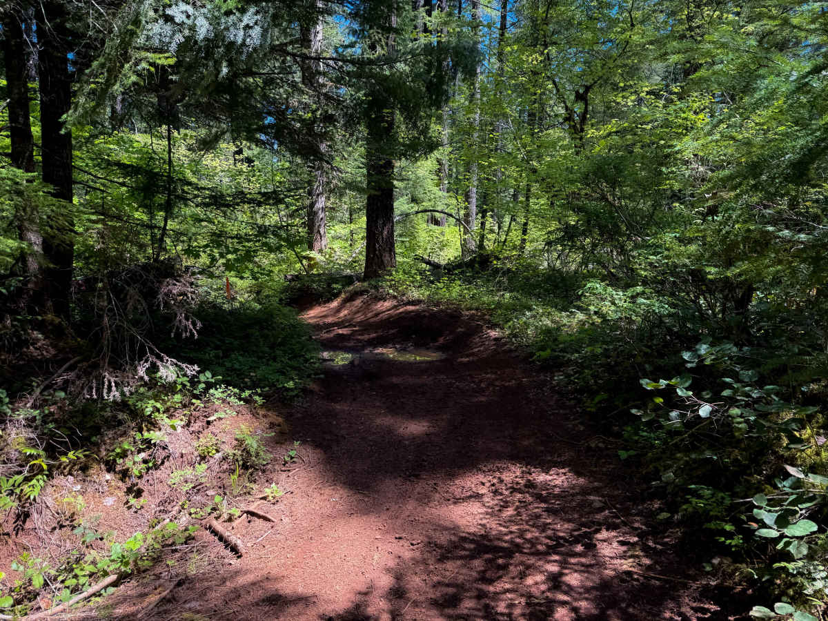 201 photo 3