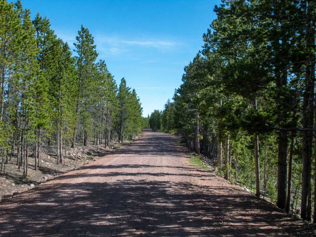 Gilbert Creek - FS 80075 photo 6