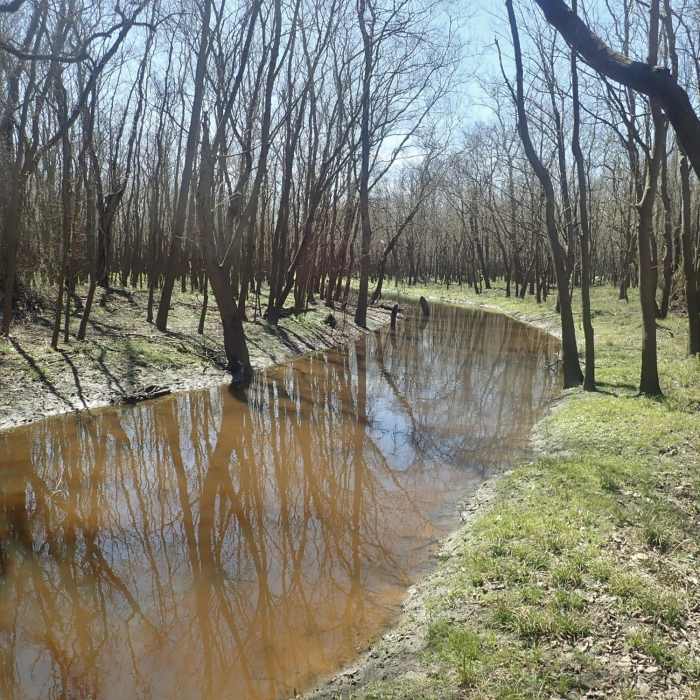 Near Hermann Hospital Trail