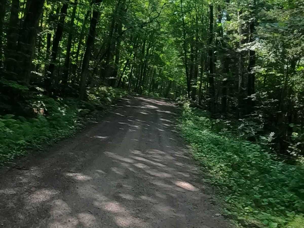 Ensign Road - FSR 2235 photo 3