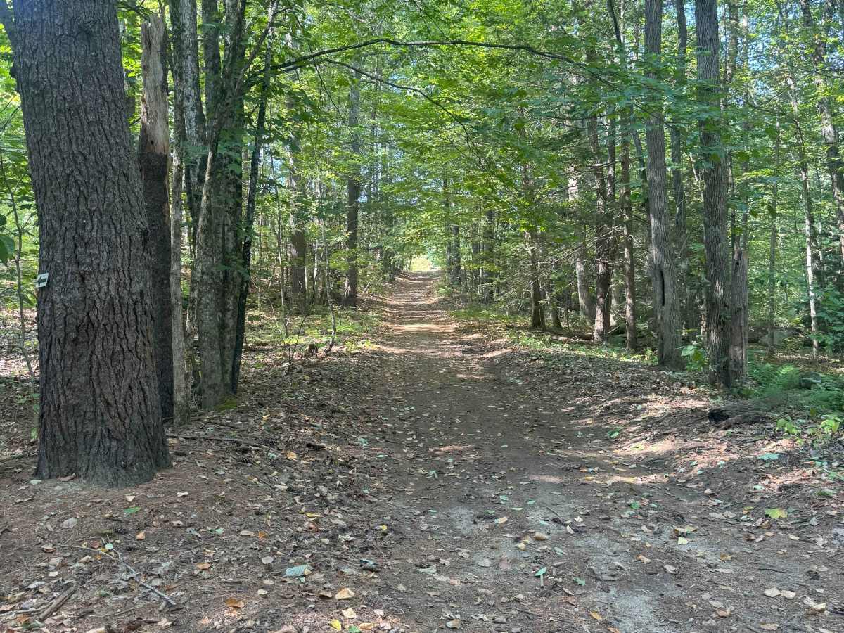 Hersey Road trail photo