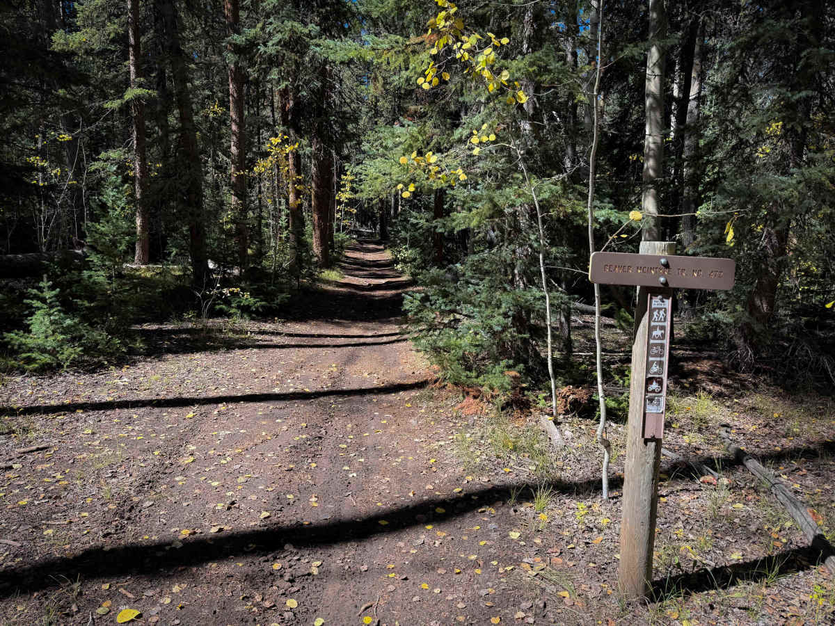 Beaver-McIntyre Trail - FS 472  photo 5