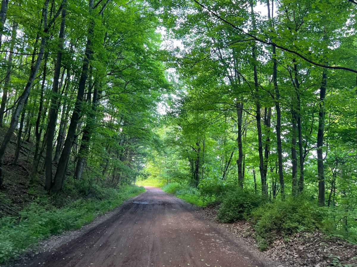 KC5 Five Mile Road photo 2