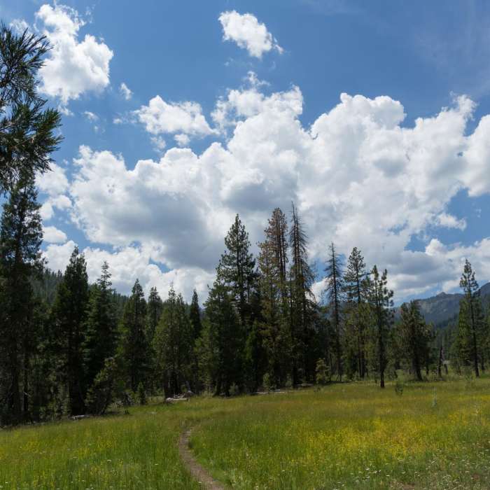 Near Horseshoe + Ward Lakes via Swift Creek Trail