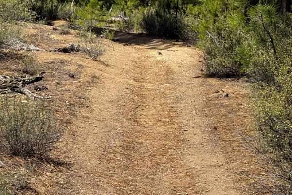 Trail 20 
