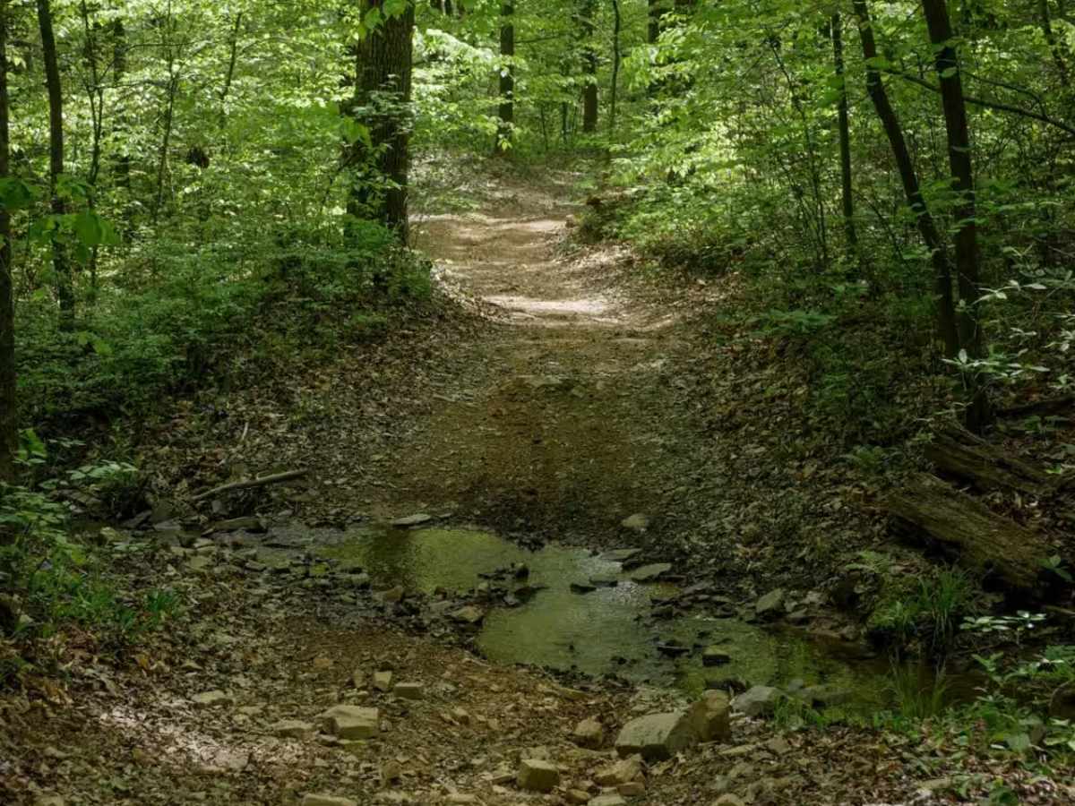 181-E photo 6