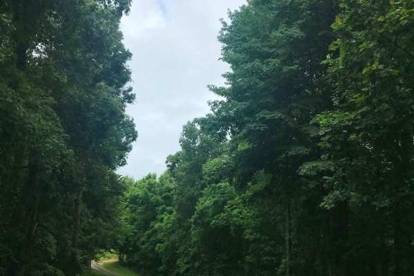 Cades Hollow
