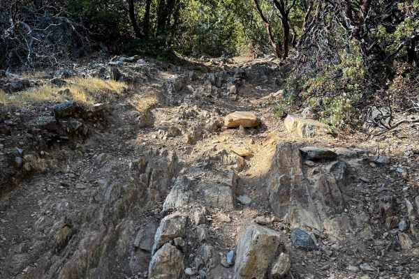 Trail 5-3 (11E54) 