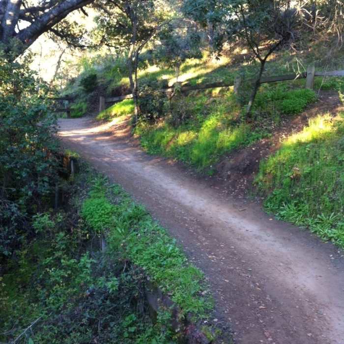 Near Fremont Older to Steven's Creek Reservoir Loop