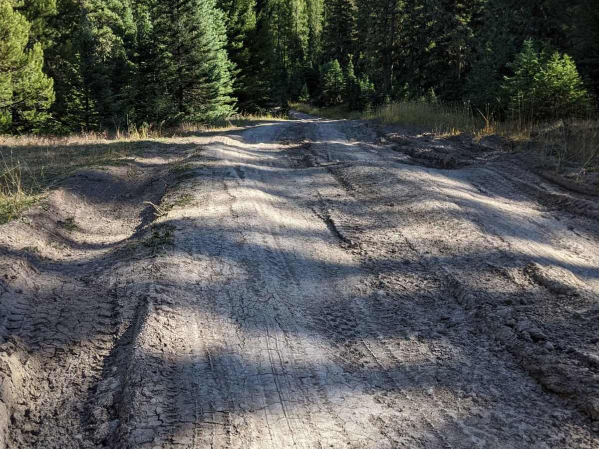 Moose Creek to Portal Creek Rd photo 5