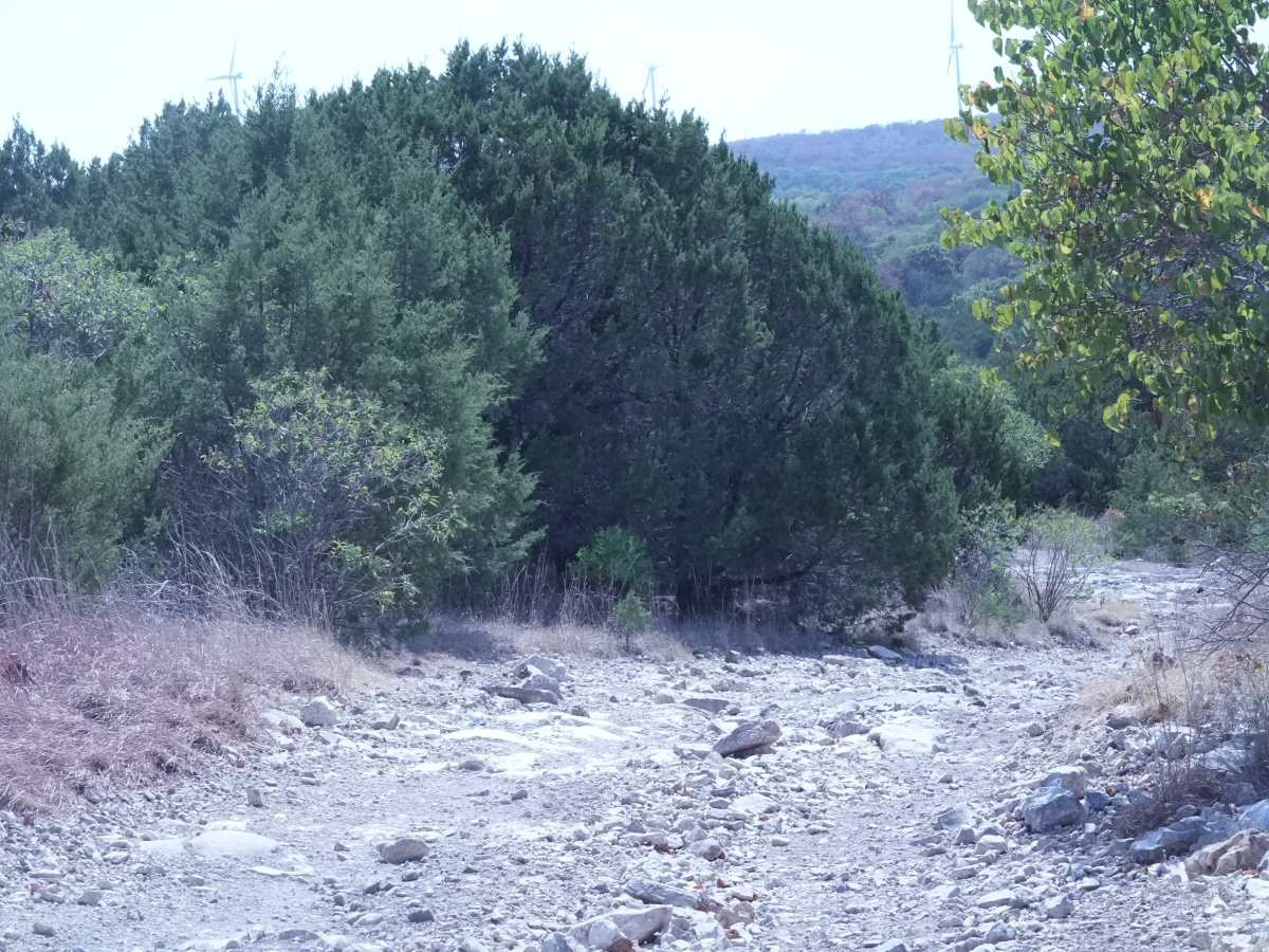 Blue 6 photo 4