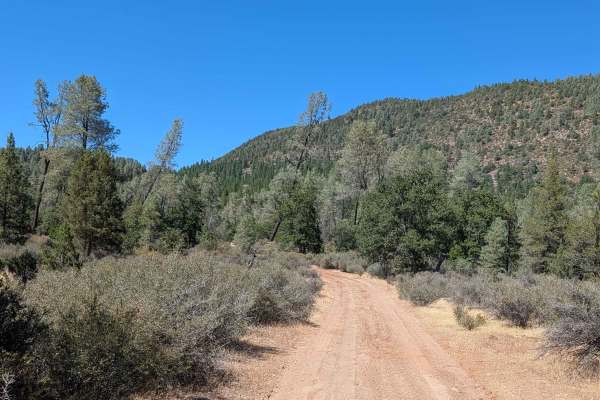 West Fort Mountain - FS 37N02Y