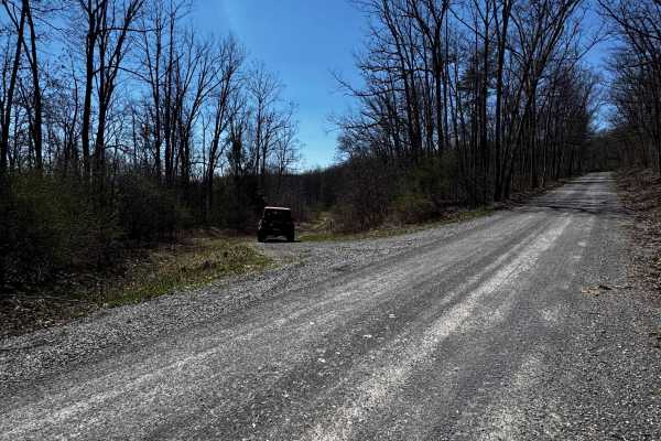 Little Council Run Trail