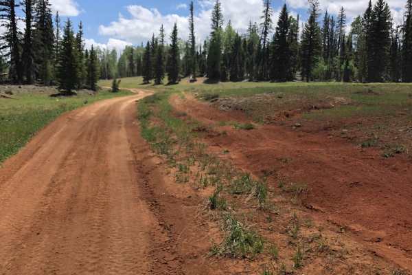 Red Desert Road