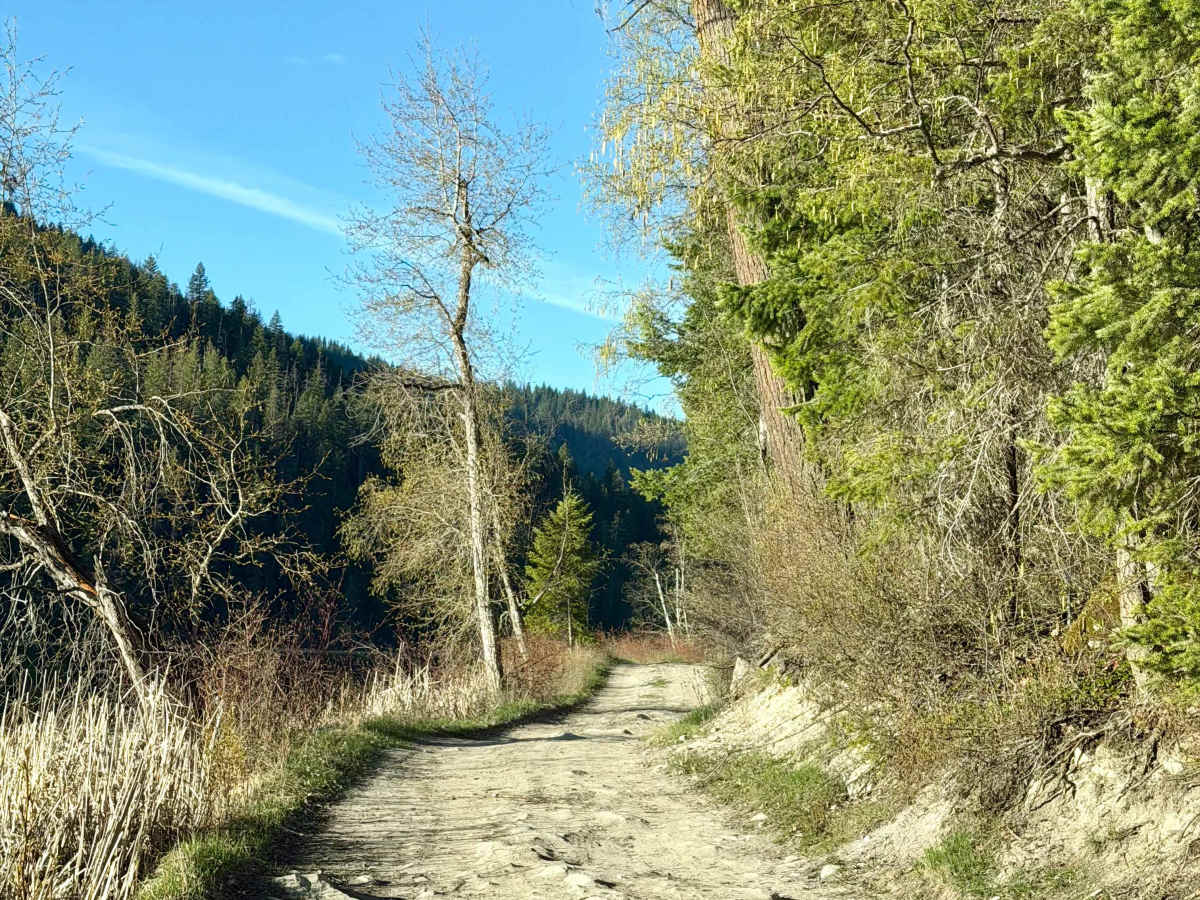 Harper Lake Road photo 3