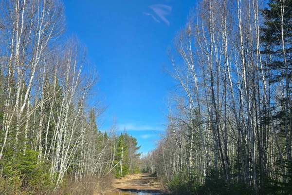 Noonan to Penniac Road