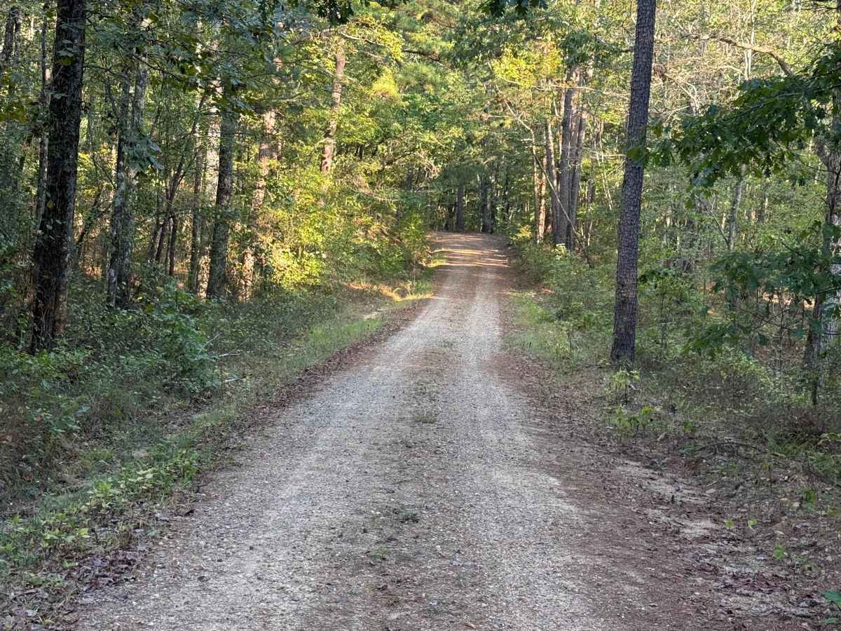 Robinson Creek photo 3