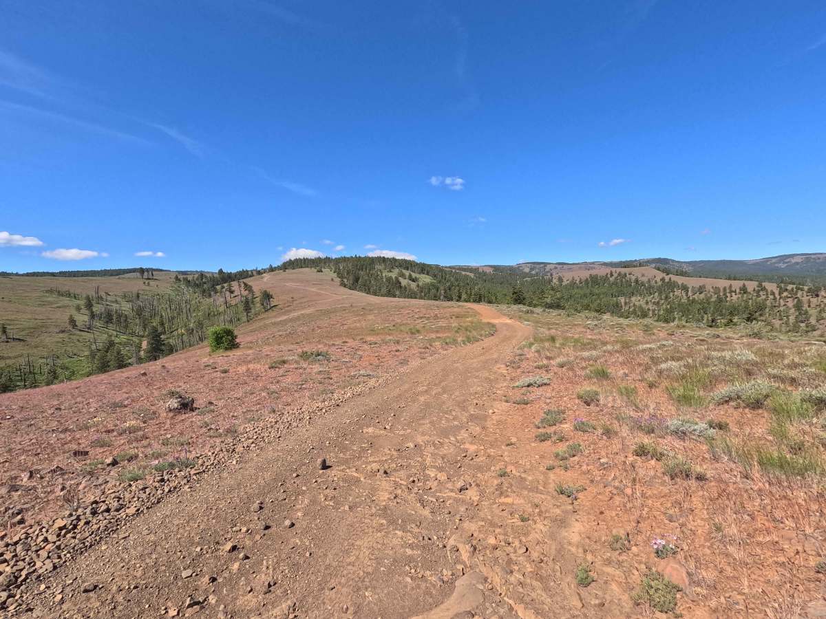 North Fork Spur Road photo 3