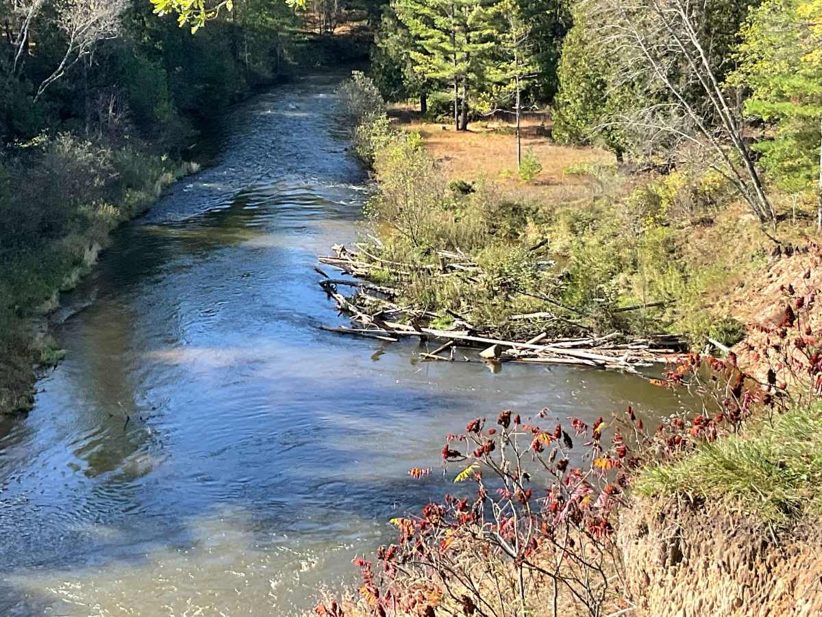 Pine River Corridor photo 5