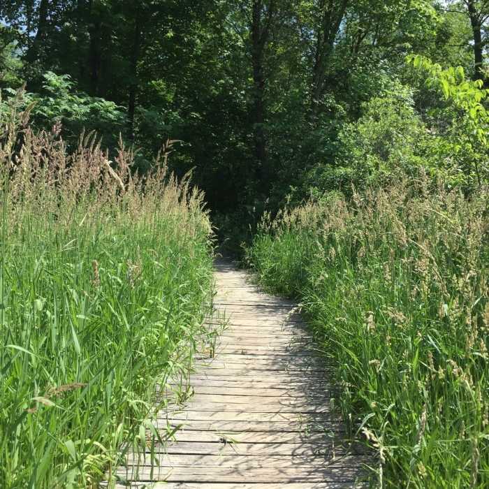 One of the wooden path sections. Near Potawatomi Trail