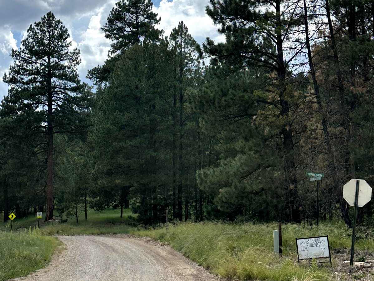 Spring Canyon photo 3