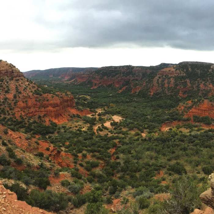 Looking east on top of the Upper Canyon Loop. Near Haynes Ridge - Fern Cave Loop
