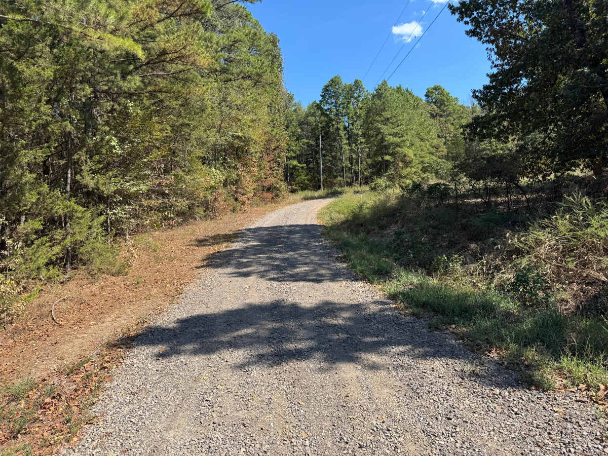 Little Shoal trail photo
