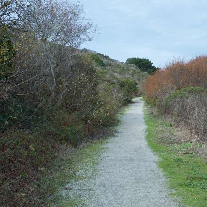 Near Pillar Point Bluff Trail