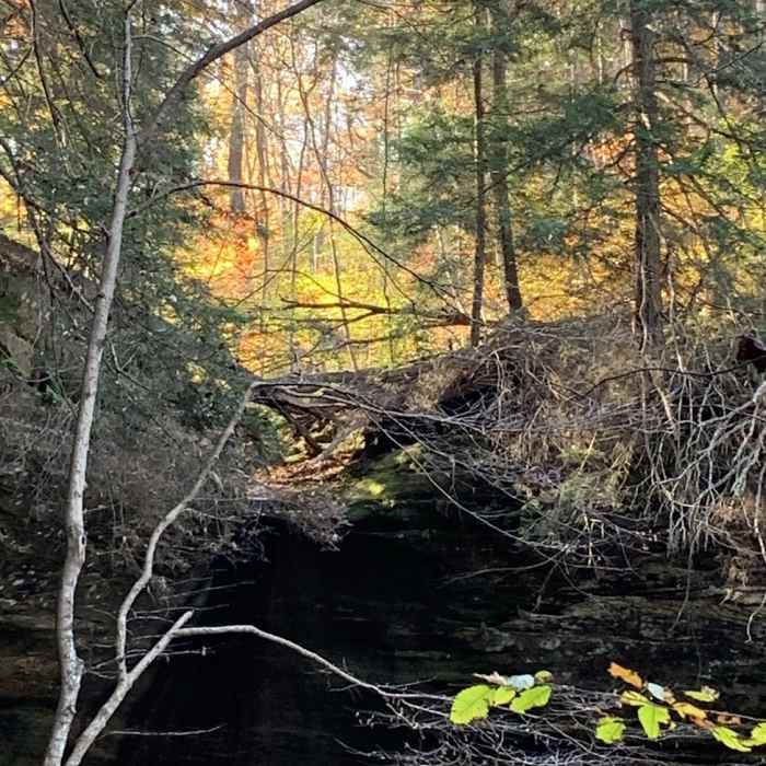 Near Cantwell Cliffs