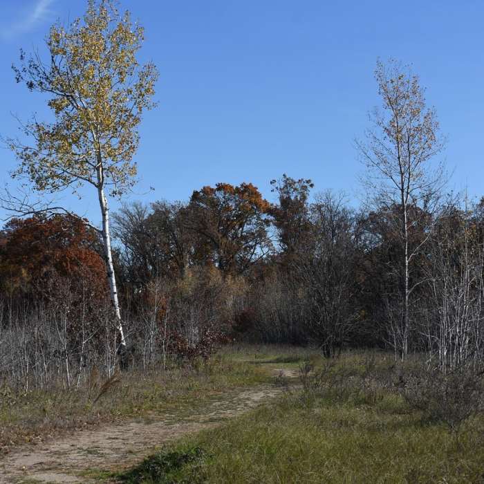 Near Mahnomen National Recreation Trail Near Mahnomen National Recreation Trail