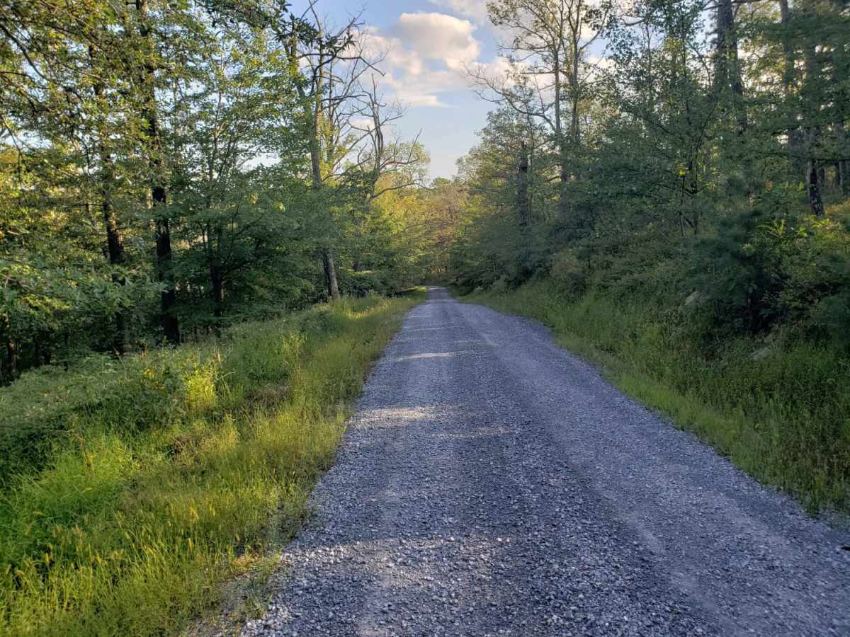 Birch Run photo 2