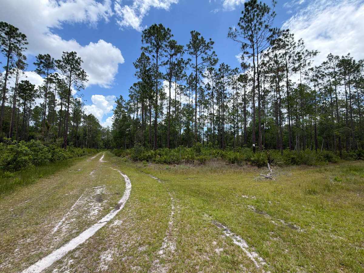 Crooked Road photo 5