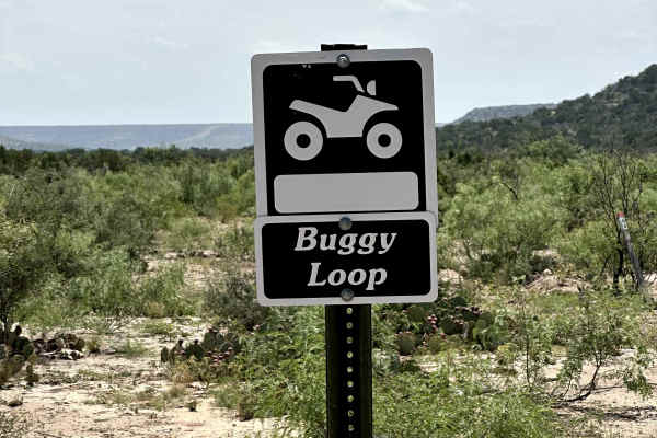 Buggy Loop - A3
