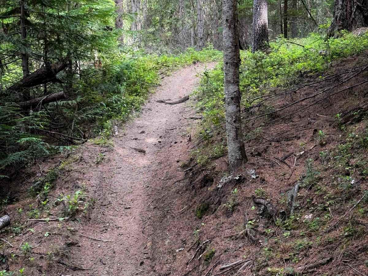 Tacoma Divide  photo 5