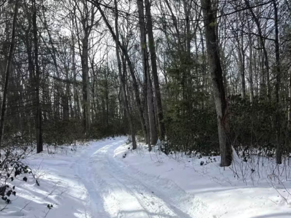 McElhenny Trail photo 6