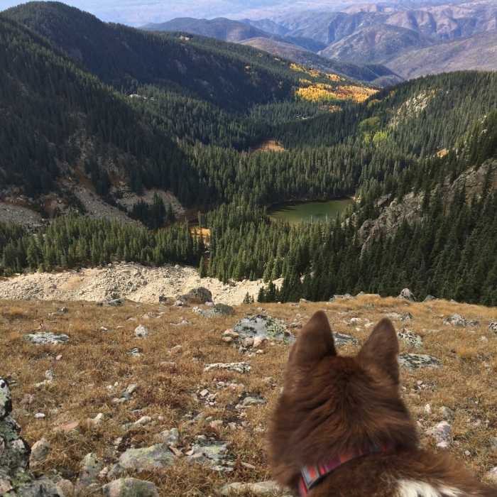 A lake, some colorful leaves and a summit. Three good things to make a run memorable. Near Raven's Ridge to Lake Peak Loop