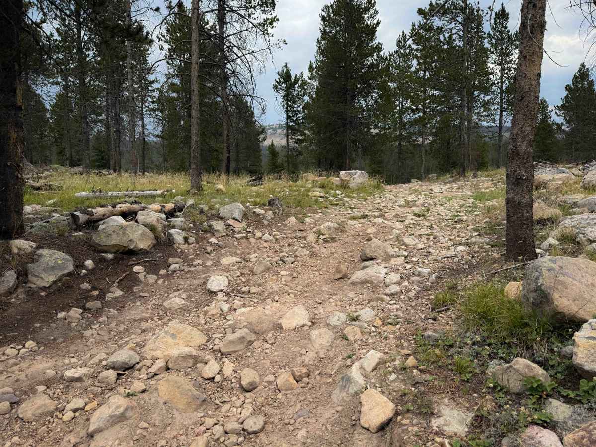 Meadow Park - FS 323  trail photo