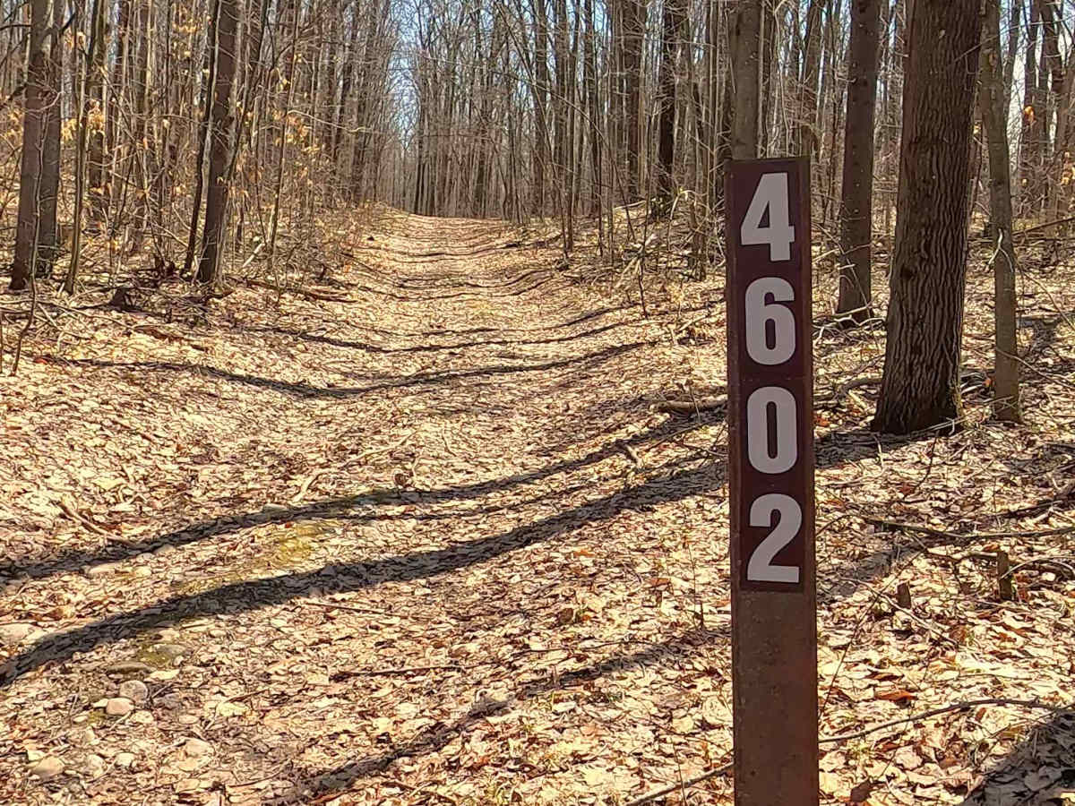 FS 4602 trail photo