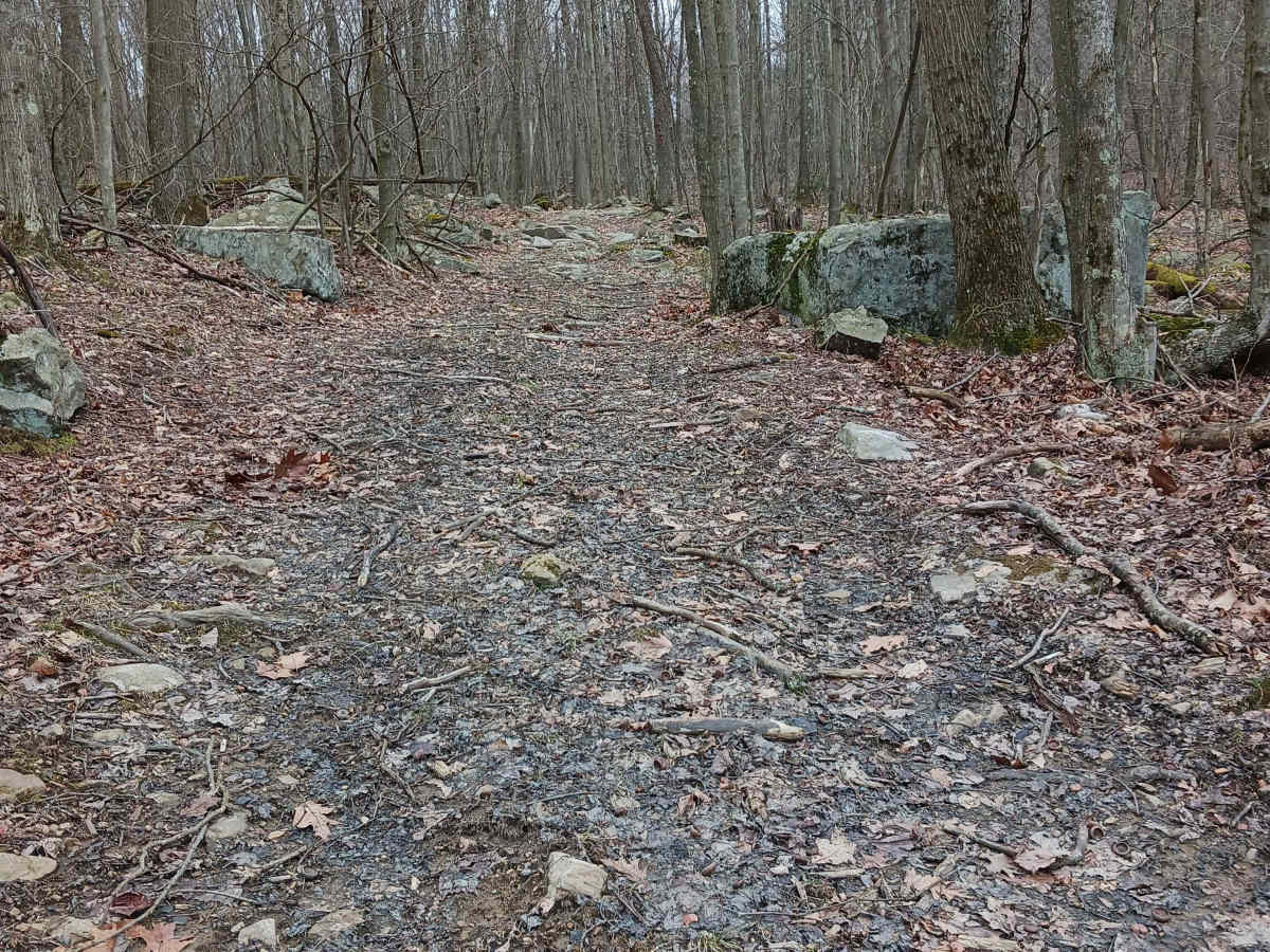 OHV 53 - Rock Run Recreation Area photo 4