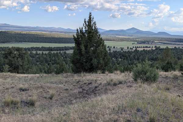 C33 Wild Horse Mountain - FS 44N11