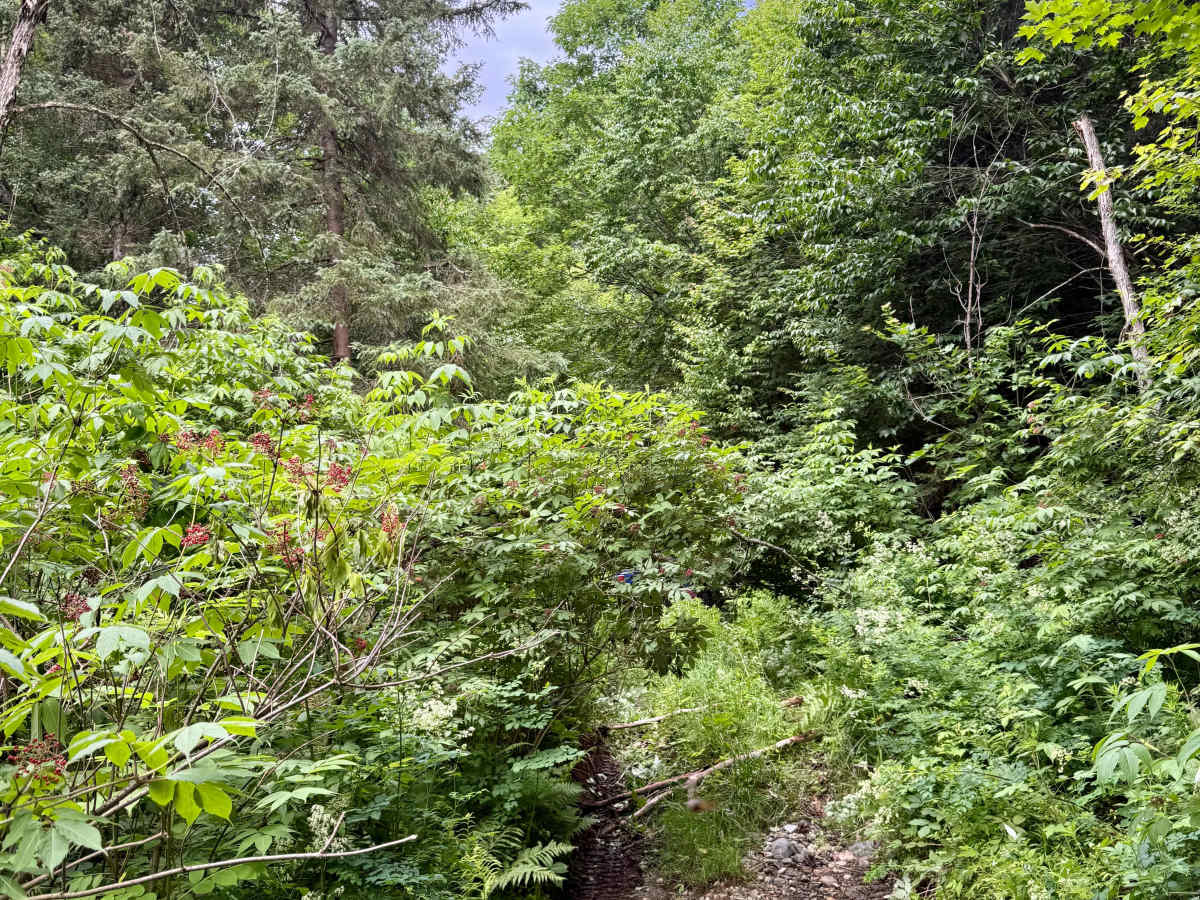 Perry Creek Passage photo 3