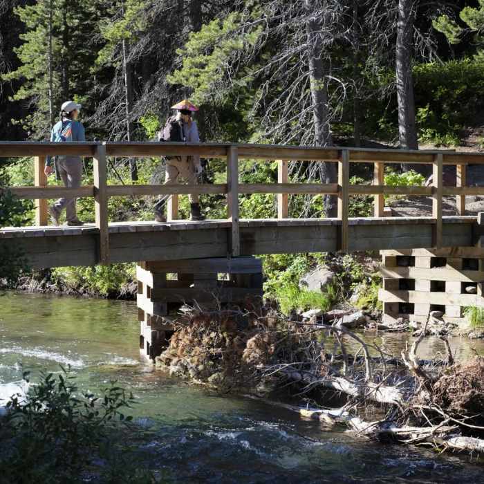 Near Grinnell Glacier
