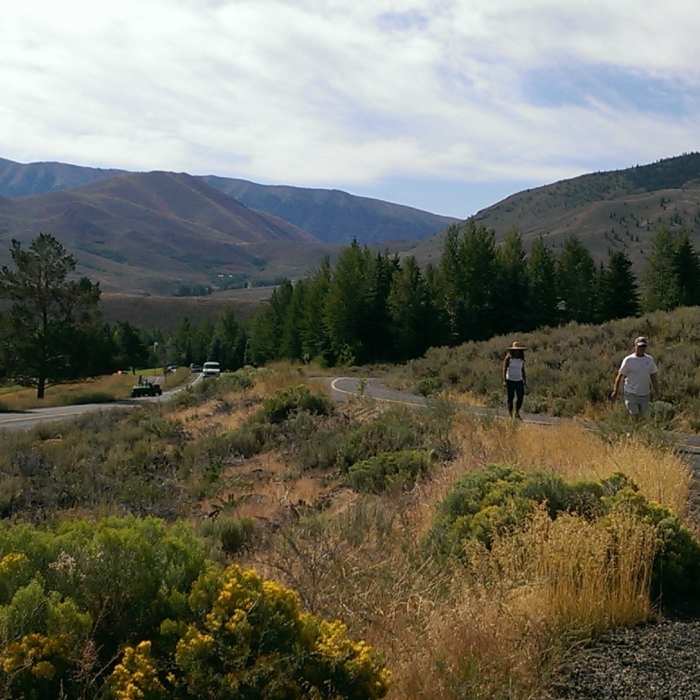 Near Elkhorn Road Paved Path