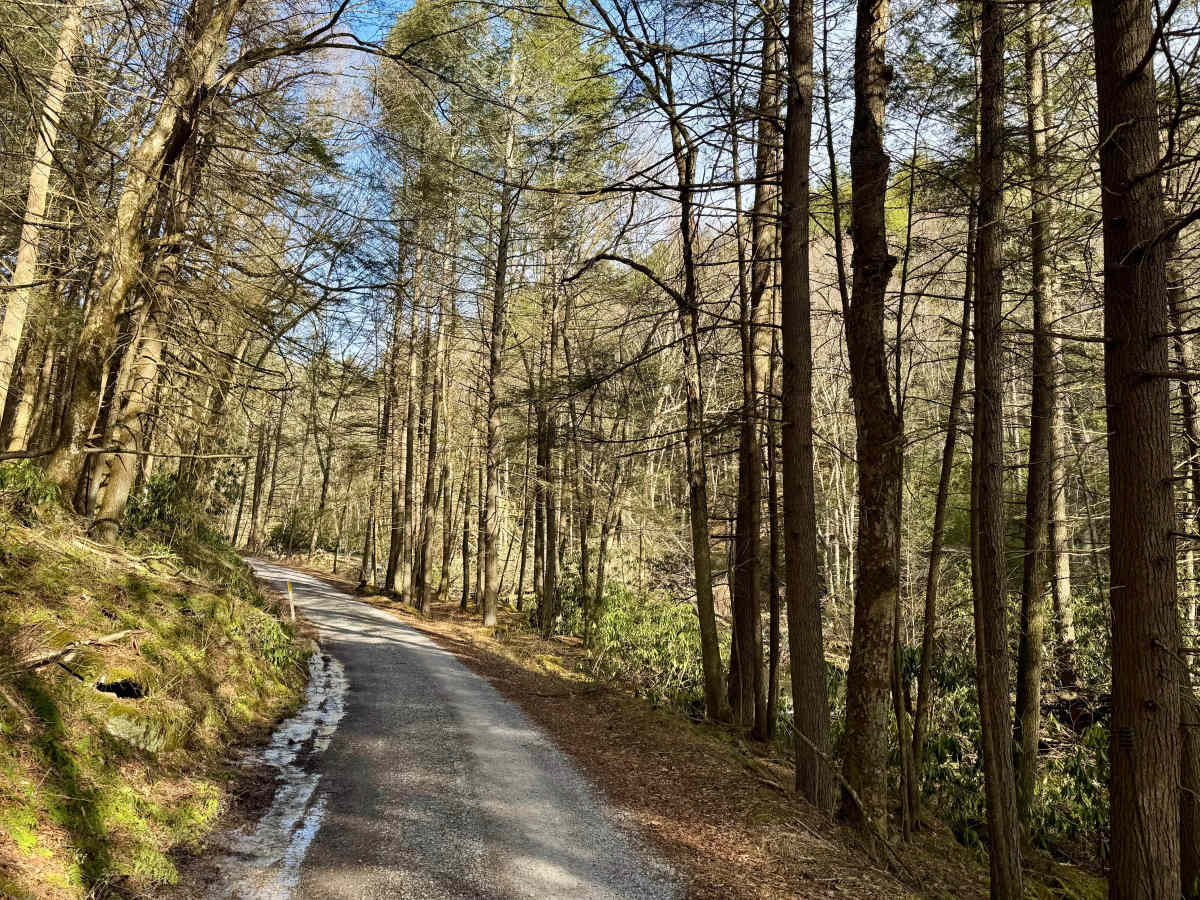 Cooks Run Road photo 6